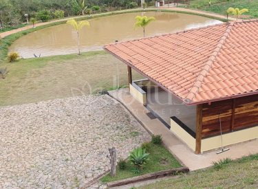 CASA8