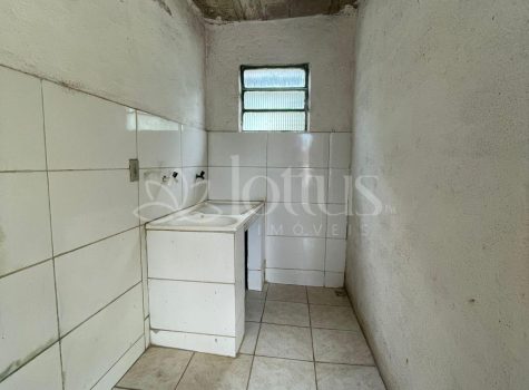 lote7