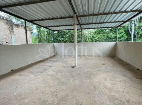 lote8